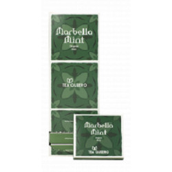 Bio Fairtrade Tee Marbella Mint