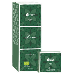 Bio Fairtrade Tee  Mint